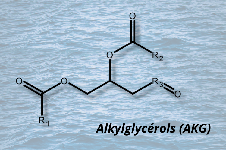 structure moléculaire des alkylglycérols (AKG).